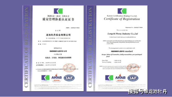 iso9001质量管理体系最新版标准,ISO9001质量管理体系最新版标准，企业成功的关键要素