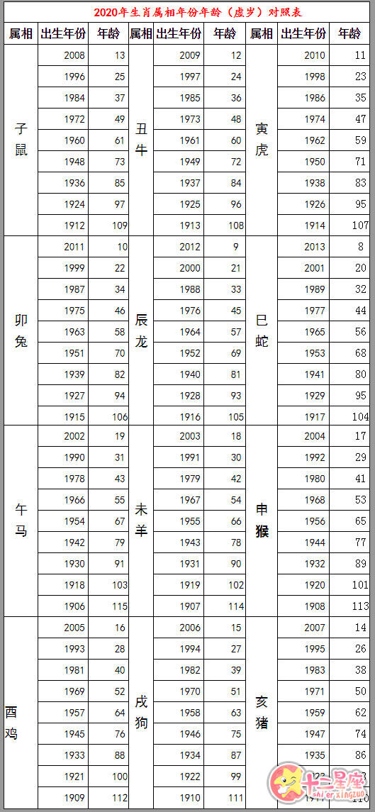 2024十二生肖49码表,揭秘2024十二生肖与数字49的奇妙联系，一份详尽的49码表解读