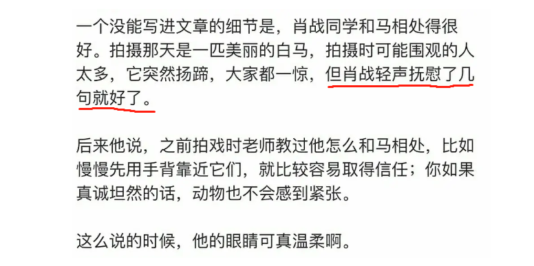 三肖三期必出特马,三肖三期必出特马——揭示背后的风险与犯罪问题