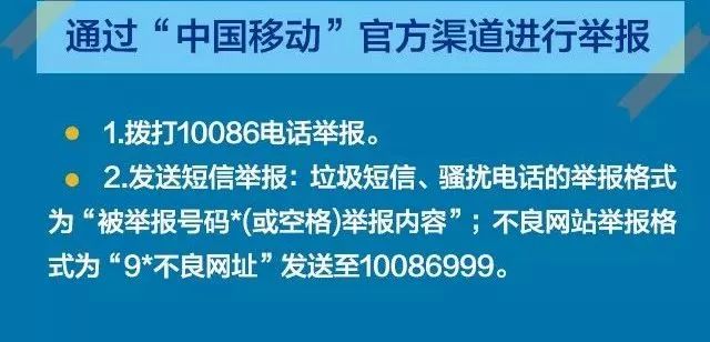 2025年1月15日 第41页