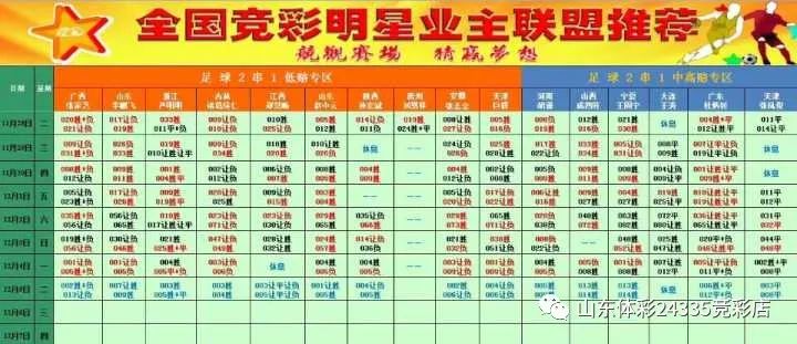 2024年新奥门天天开彩,新澳门天天开彩，探索未来的彩票新世界（2024年展望）