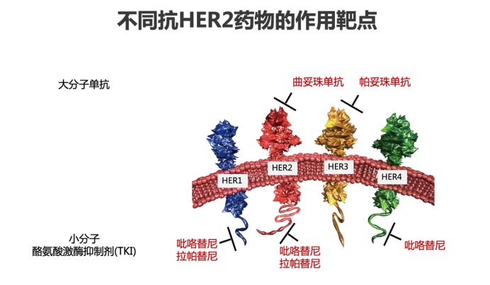 黄大仙精准资料大全1,黄大仙精准资料大全一，解读神秘与传承的智慧