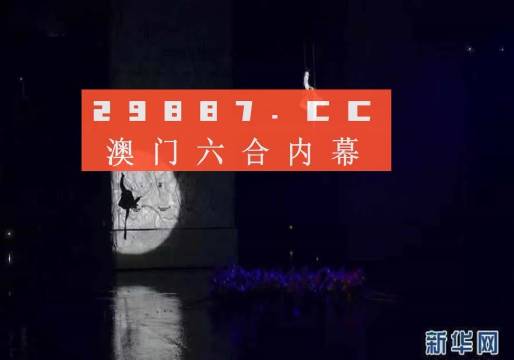 2224澳门特马令晚开奖,澳门特马令晚开奖——探索与解析