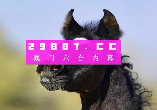 精准一肖100%今天澳门,精准一肖，揭秘澳门生肖预测的神秘面纱与真实概率