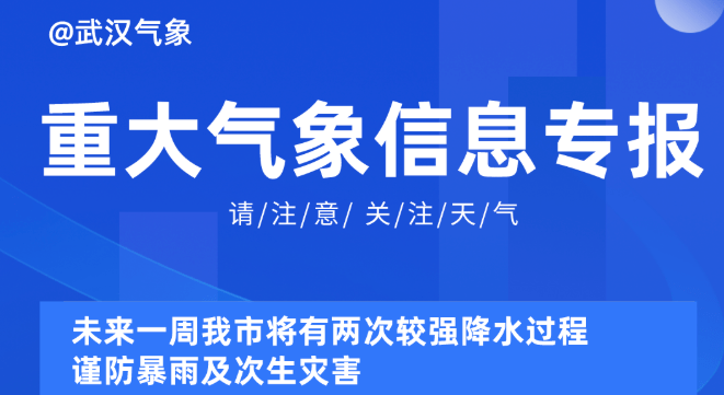 新澳精准资料免费提供4949期,新澳精准资料免费提供，探索第4949期的奥秘与价值