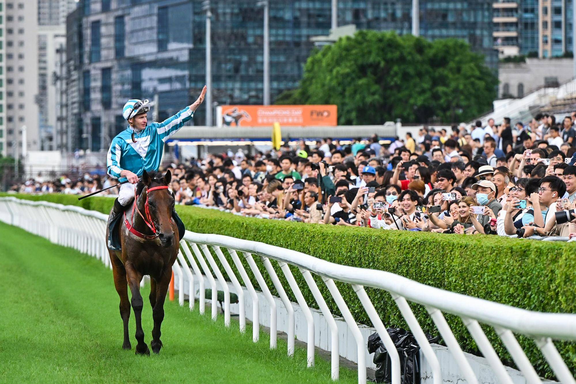 930香港马精准资料,香港赛马，探索精准资料的魅力与策略——以香港赛马日930为例